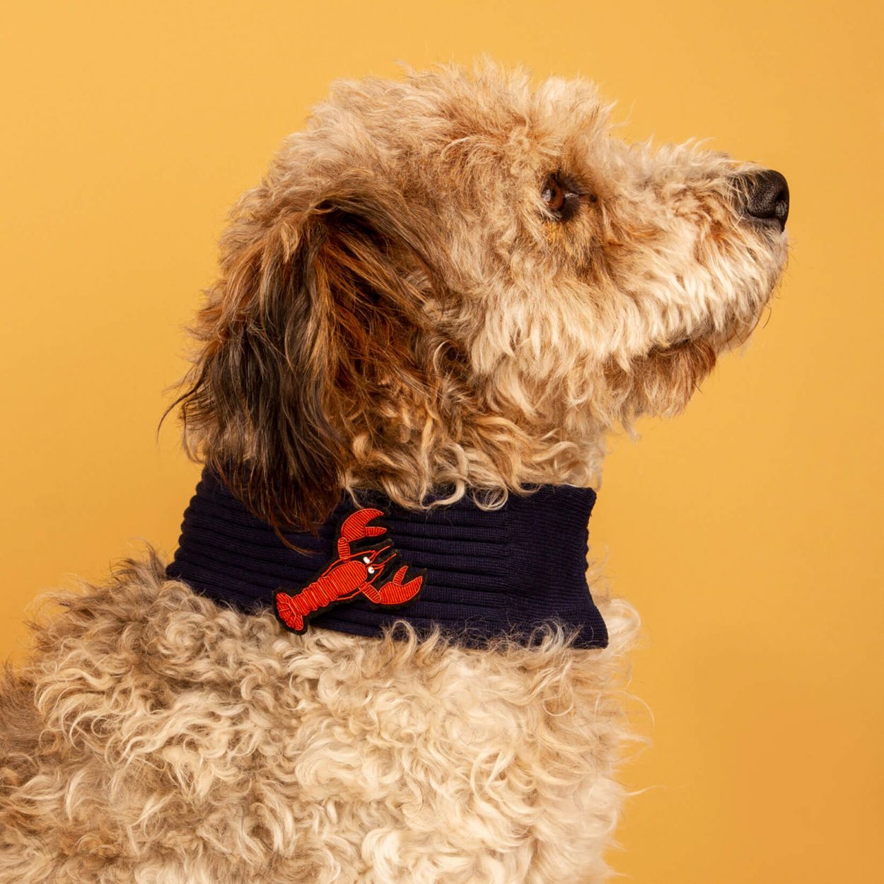 Spilla lobster Macon & Lesquoy