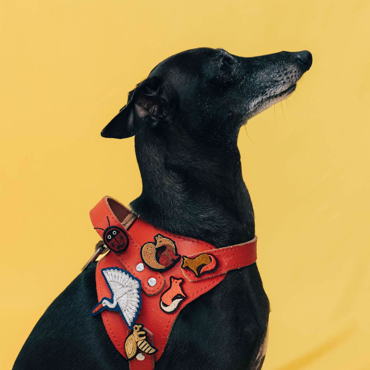 Spilla fox Macon & Lesquoy