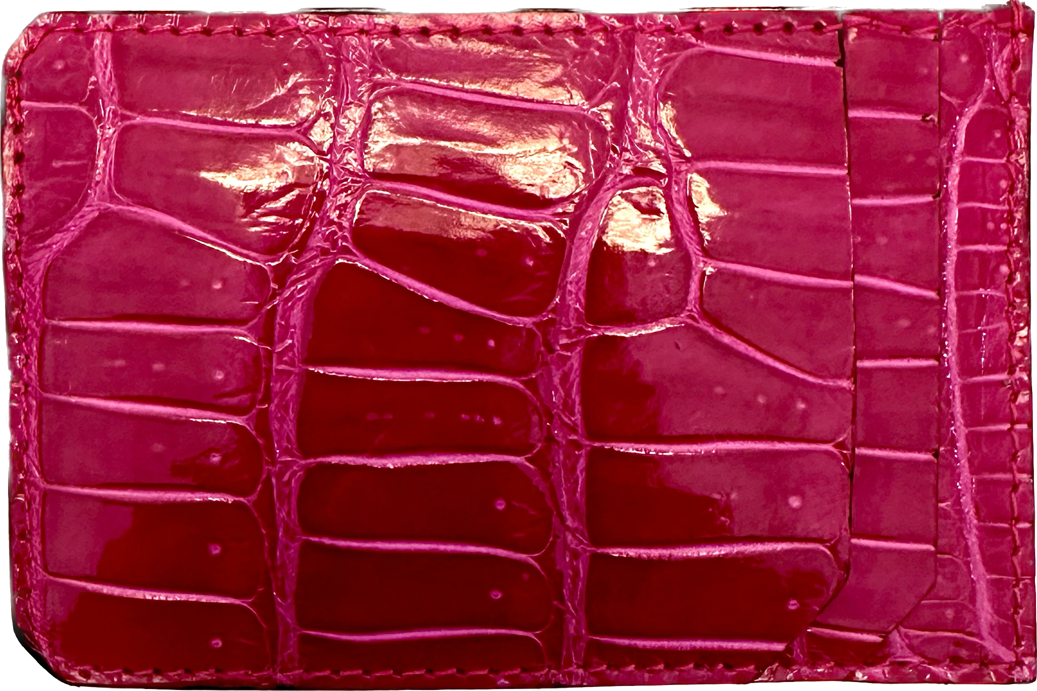 Portacarte coccodrillo 2025