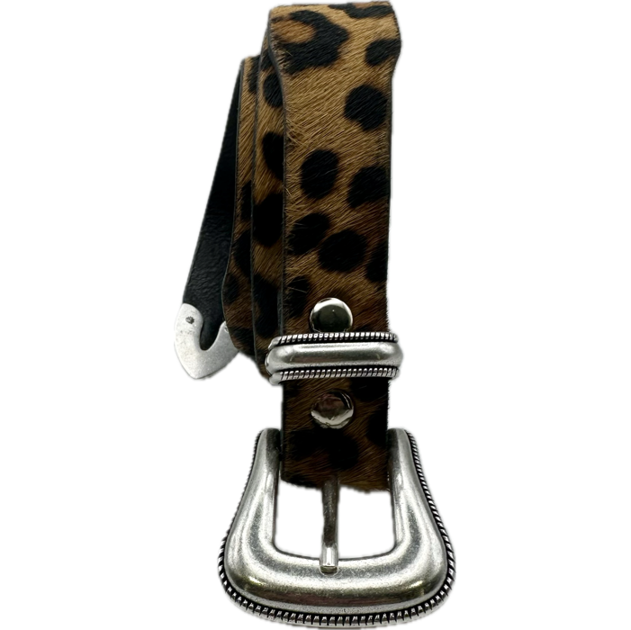 Cintura texana cavallino maculata Monsieur